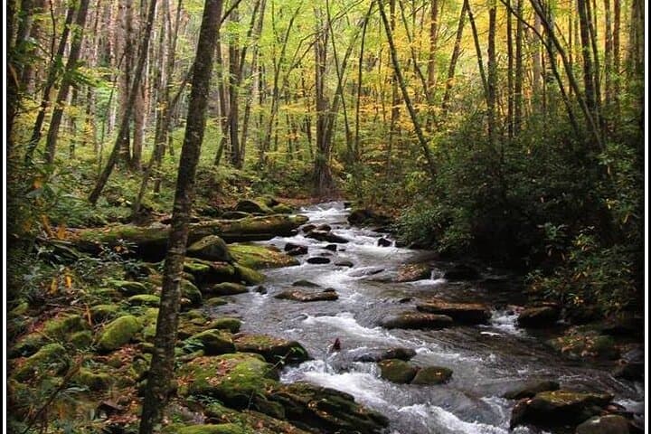 Historic River Town Ramble: Guided Little River Walk in Great Smoky Mountains