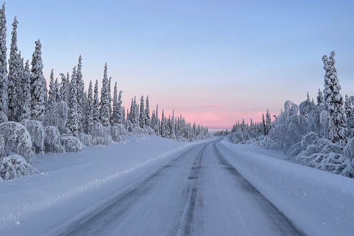 Become a Reindeer Herder: Full-Day Sámi Reindeer Experience near Kiruna photo 5