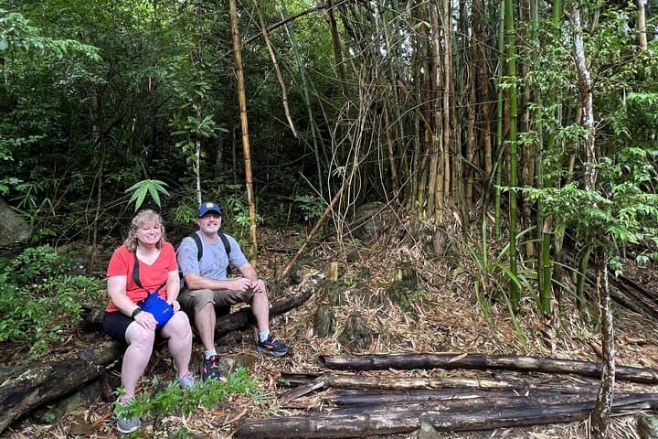 Mount Healthy National Park Hike — Ghuts, Bamboo Meadow & Sage Mountain Views