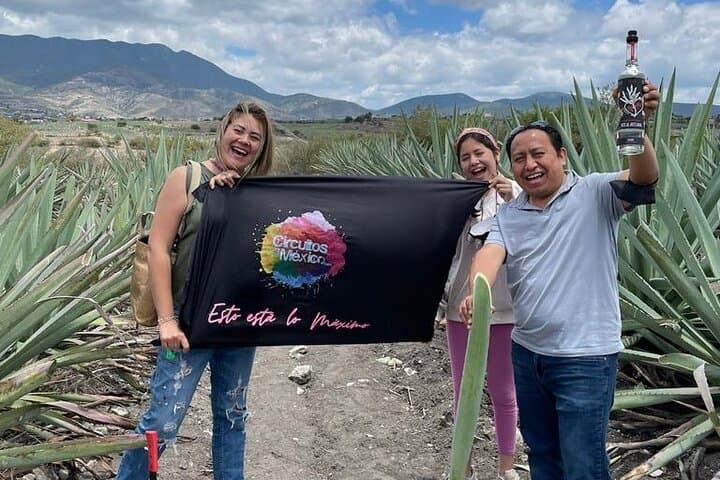 Oaxaca Mezcal Route Adventure: Palenques, Agave Fields & Teotitlán Textiles