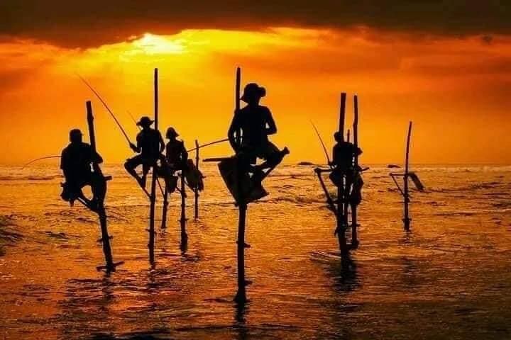 12-Day Classic Sri Lanka Tour: Beaches, Tea Country & Wildlife Itinerary