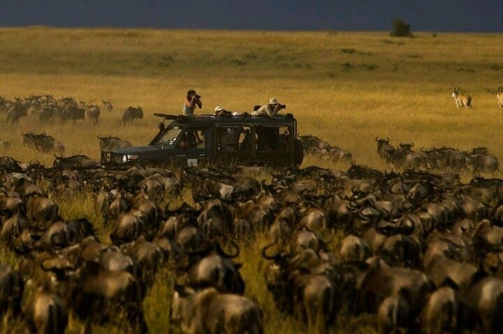 Spectacular Serengeti Migration Safari: 4-Day Guided Big-Game Experience
