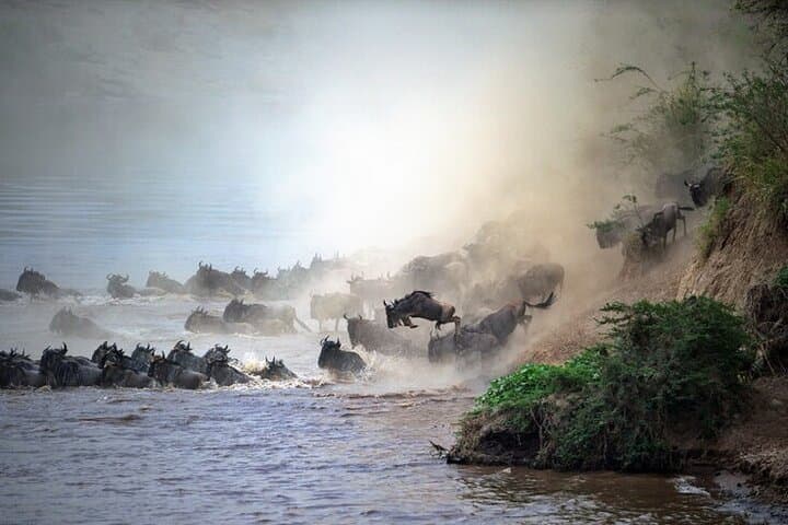 Spectacular Serengeti Migration Safari: 4-Day Guided Big-Game Experience photo 3