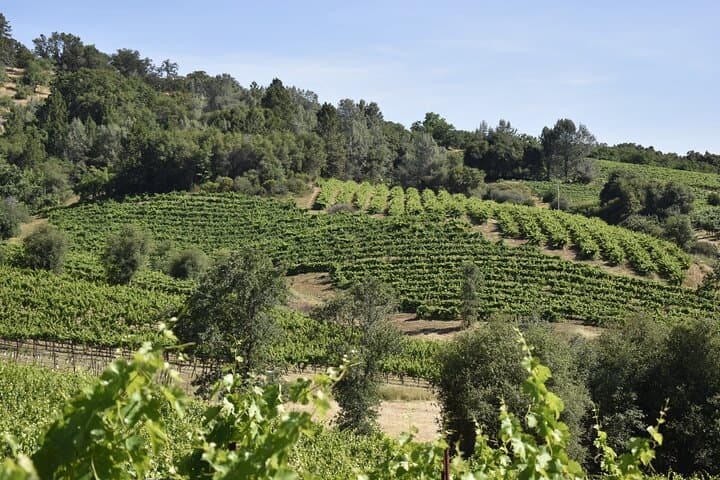 Apple Hill & Placerville Private Wine Tasting Tours — Custom Wine Country Day Trips