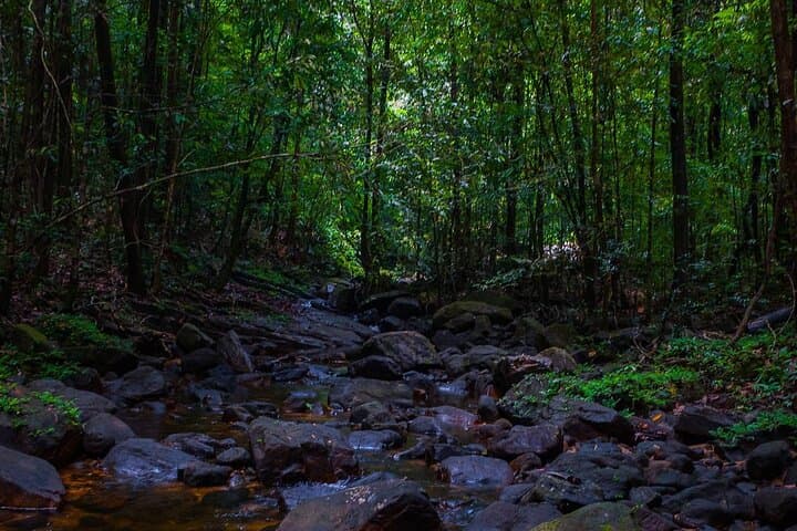 Makandawa Rainforest: Village Crossing & Waterfall Hike Near Kitulgala photo 5