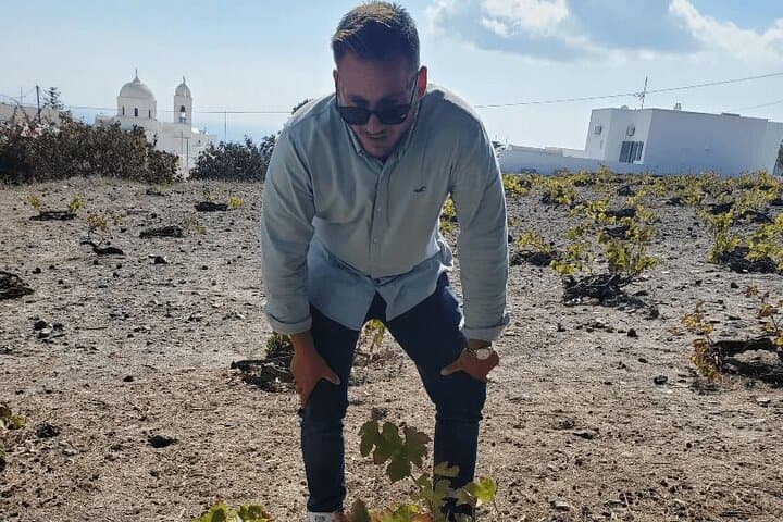Santorini Full-Day Private: Caldera Sailing & Island Highlights photo 3