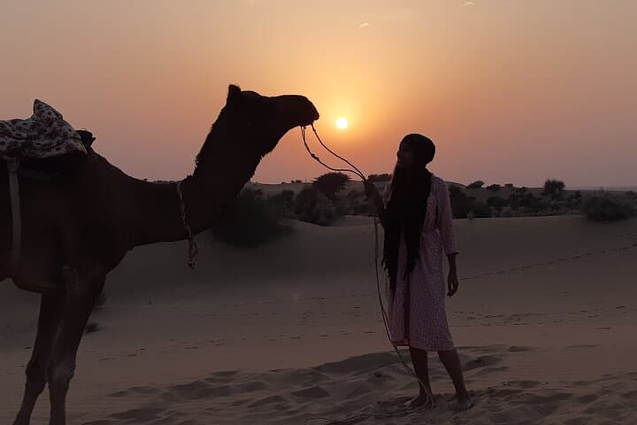 Overnight Camel Safari in Thar Desert near Jaisalmer — Private Off-the-Beaten-Path Camping
