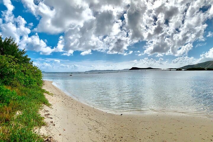 Private Tortola Jeep Tour and Beach Snorkel: Sage Mountain to Smuggler's Cove photo 2
