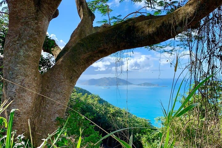 Private Tortola Jeep Tour and Beach Snorkel: Sage Mountain to Smuggler's Cove photo 4