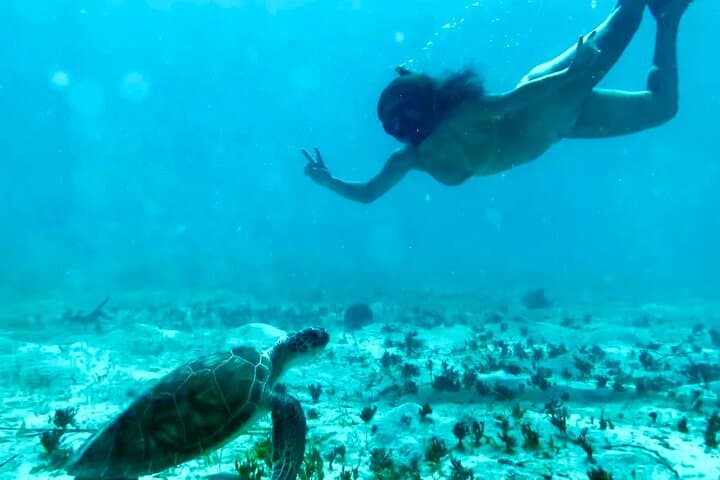 Private Tortola Jeep Tour and Beach Snorkel: Sage Mountain to Smuggler's Cove photo 3