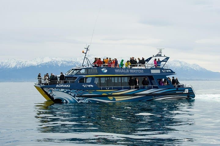 Kaikoura Overnight Whale Watching and Swim With Dolphins from Christchurch photo 2