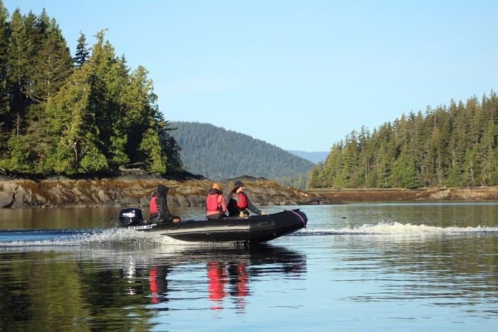 Ketchikan Zodiac Boat Adventure: Self-Drive Inside Passage Wildlife Tour photo 3