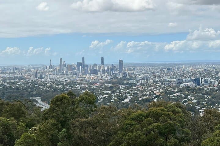 Brisbane Highlights & Lone Pine Koala Sanctuary: Guided Day Tour with Lunch photo 3