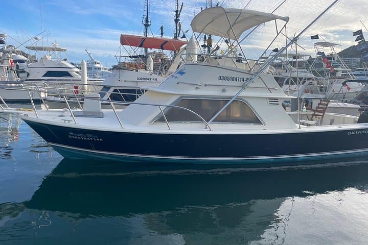 Cabo San Lucas Sportfishing: Marlin, Tuna & Wahoo Charters on the Pacific photo 4