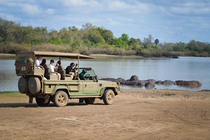 Day Safari Selous Game Reserve: Air Transfer to Nyerere National Park
