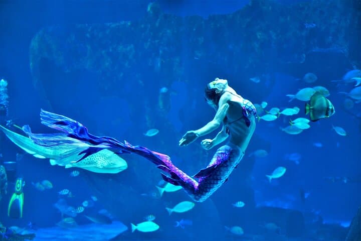 Aquaria Phuket: Explore Thailand’s Largest Aquarium at Central Floresta photo 3