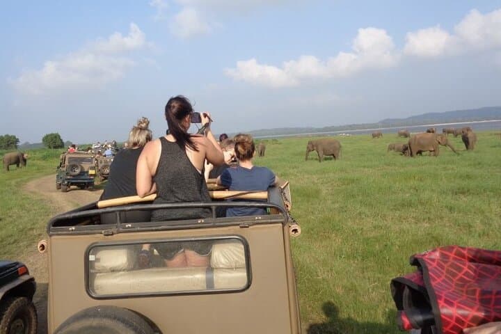 Sigiriya, Dambulla & Habarana Day Tour from Kandy — Rock Fortress, Cave Temples & Jeep Safari photo 3