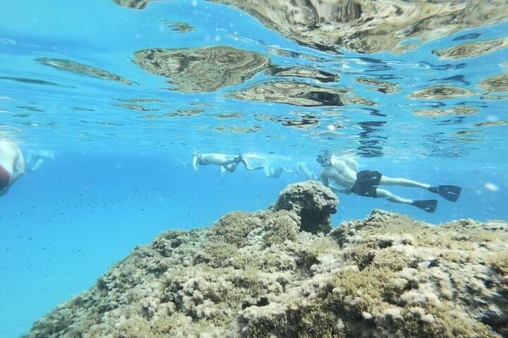 Guided Snorkeling Excursion in Malta: Blue Lagoon & Best Snorkel Sites
