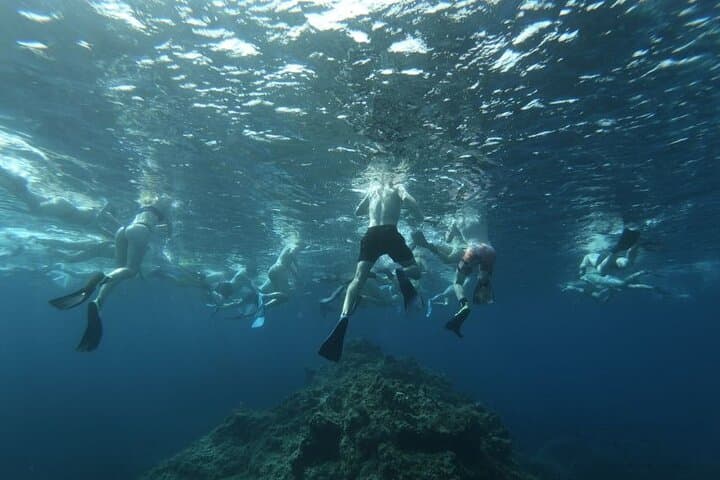 Guided Snorkeling Excursion in Malta: Blue Lagoon & Best Snorkel Sites photo 3