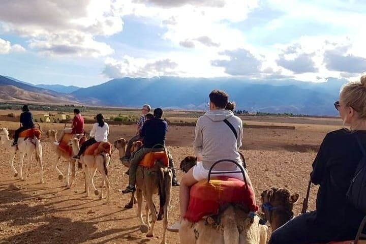 High Atlas Day Trip from Marrakech: Imlil, Berber Villages & Camel Ride photo 5
