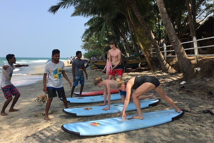 Learn to Surf in Arugam Bay: 90-Minute Beginner Surf Lesson on Sri Lanka's East Coast photo 3