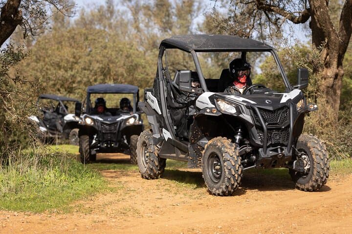 Algarve Off-Road Buggy & Quad Tour — 90-Minute Almond Grove Adventure