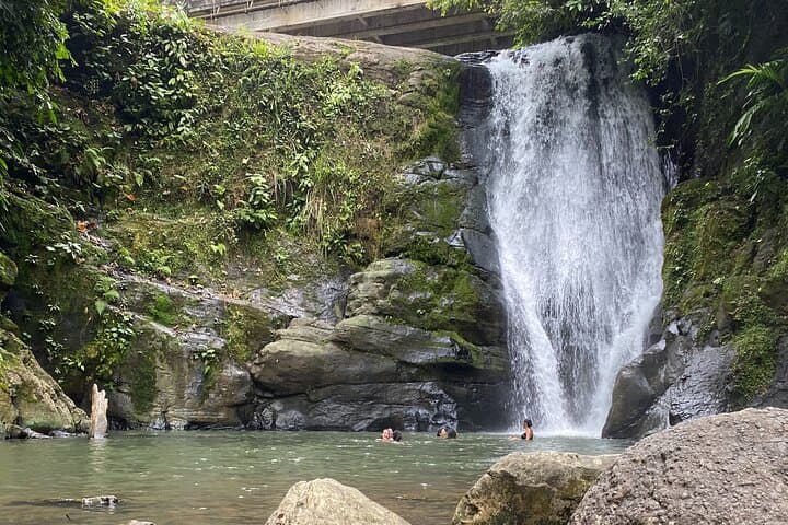 Cahuita National Park Guided Rainforest Walk and Bribri Waterfall Swim photo 2