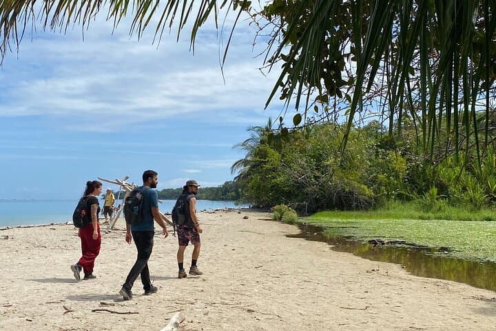 Cahuita National Park Guided Rainforest Walk and Bribri Waterfall Swim