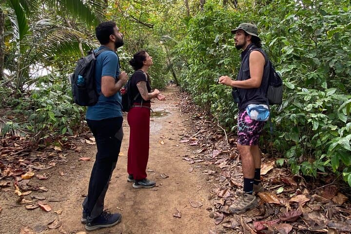 Cahuita National Park Guided Rainforest Walk and Bribri Waterfall Swim photo 4
