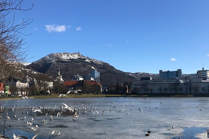 Exploring Bergen Sustainably: A Zero Emission City Tour
