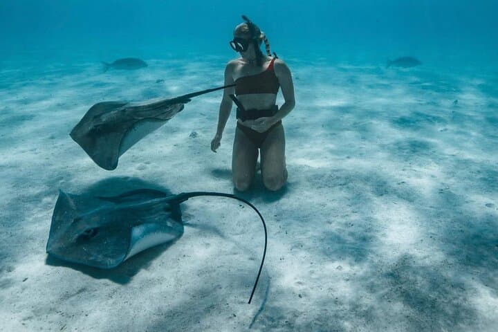 Half-Day Snorkeling Adventure in Moorea's Opunohu Bay photo 6