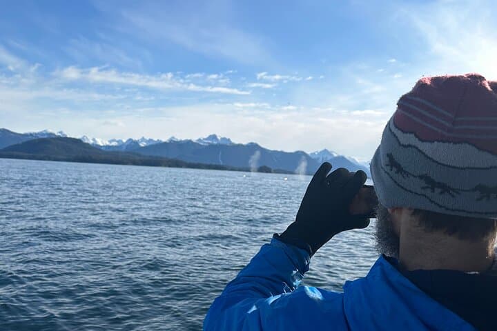 Sitka 2-Hour Marine Wildlife Tour — Whale Watching in Sitka Sound photo 3