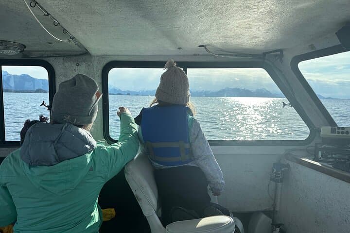 Sitka 2-Hour Marine Wildlife Tour — Whale Watching in Sitka Sound photo 4