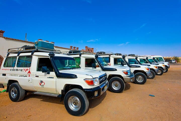 Hurghada Desert Quad & Buggy Safari with Bedouin Dinner and Live Show