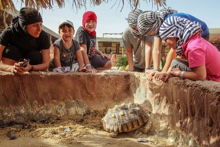 Hurghada Desert Quad & Buggy Safari with Bedouin Dinner and Live Show photo 6
