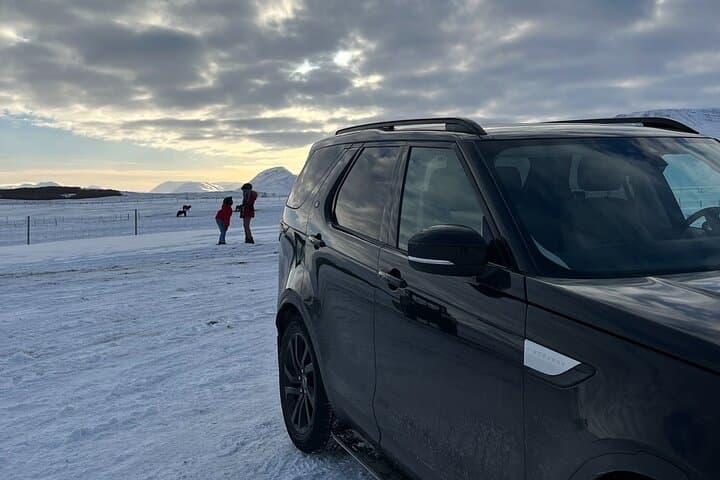 Iceland South Coast Private Day Tour from Reykjavik — Seljalandsfoss, Skógafoss & Reynisfjara photo 5