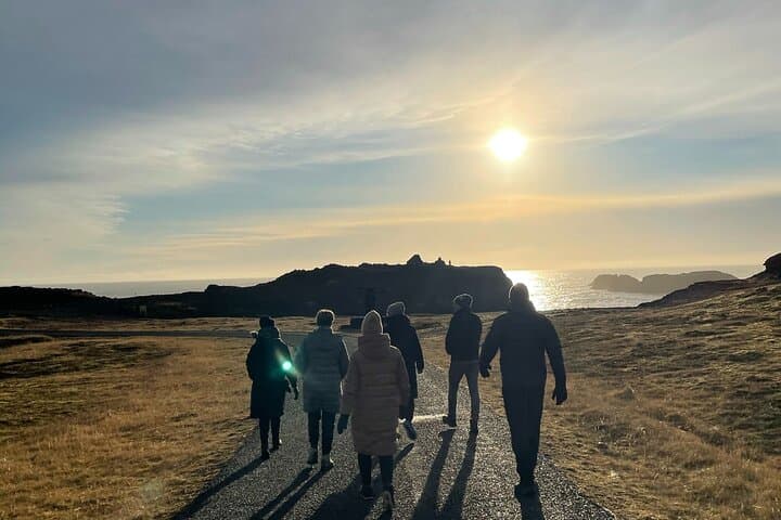 Iceland South Coast Private Day Tour from Reykjavik — Seljalandsfoss, Skógafoss & Reynisfjara photo 6