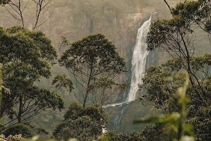 12-Day Classic Sri Lanka Tour: Beaches, Tea Country & Wildlife Itinerary photo 6