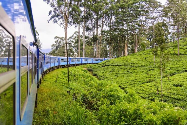 Private Nuwara Eliya Day Trip from Colombo: Gregory Lake, Tea Estates & Ambewela photo 4