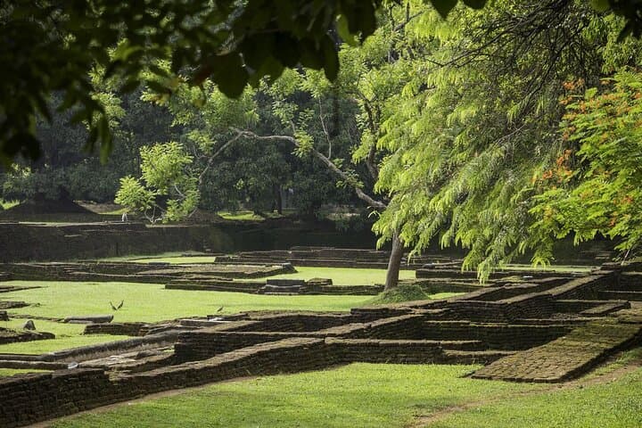 Day Trip to Sigiriya, Dambulla & Hurulu Safari — From Colombo photo 6