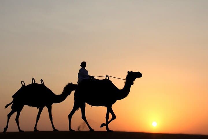 Private Dubai Desert Safari: Dune Bashing, Camel Rides & Falconry