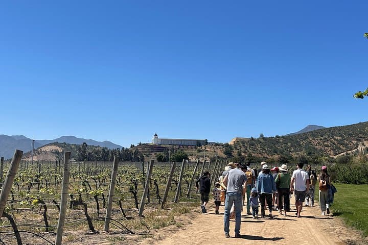 Full-Day Private Tour: Casablanca Wine Valley, Valparaíso & Viña del Mar photo 1