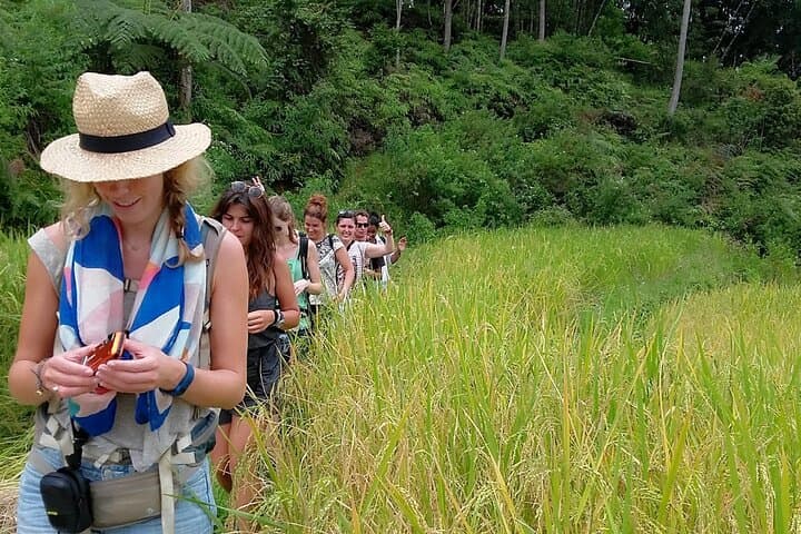 7-Day Toraja & Bugis Cultural Tour: Tana Toraja to Bira photo 5