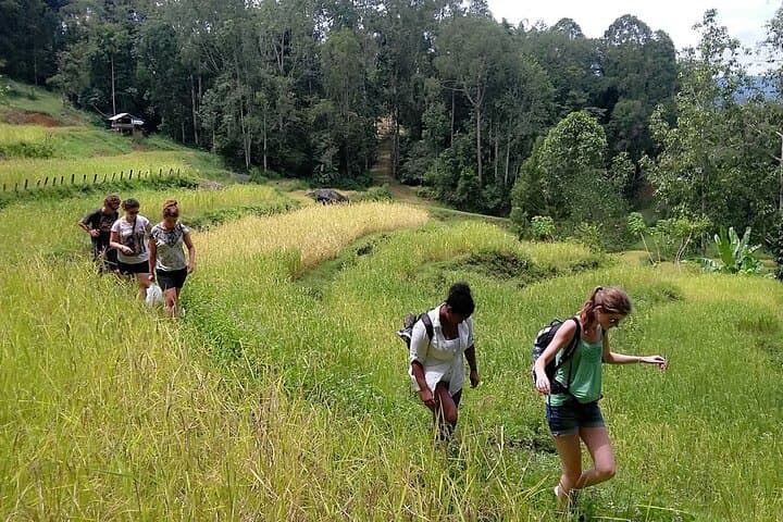 7-Day Toraja & Bugis Cultural Tour: Tana Toraja to Bira photo 6