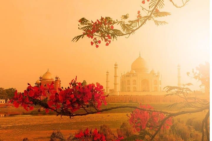 Private Taj Mahal & Agra Fort Day Trip from Delhi — Full-Day Car Tour photo 4