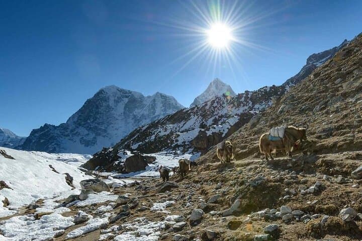 Luxury Everest Base Camp Trek: Guided Teahouse Route to Kala Patthar photo 3