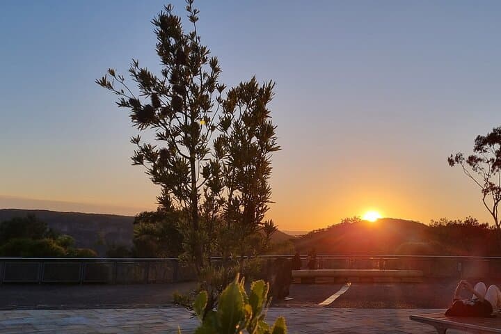 Blue Mountains Sunset Tour from Sydney: Private Kangaroo & Koala Encounters photo 6