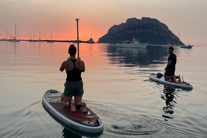 Sunrise & Sunset Dolphin SUP Experience in Golfo Aranci — Paddle to Figarolo and Cala Moresca