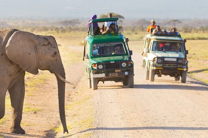 2-Day Ngutuni Conservancy Safari From Mombasa: Big Game & Sunrise Drives photo 6