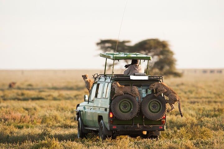 2-Day Ngutuni Conservancy Safari From Mombasa: Big Game & Sunrise Drives photo 5